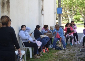 Se reprogramó la jornada de castración de mascotas en Timbúes