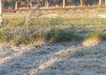 La primera helada del año dijo presente sobre la región