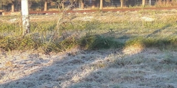 La primera helada del año dijo presente sobre la región