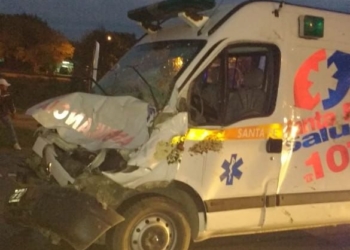 Una ambulancia atropelló y mató a un caballo que se cruzó en la autopista