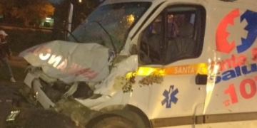 Una ambulancia atropelló y mató a un caballo que se cruzó en la autopista