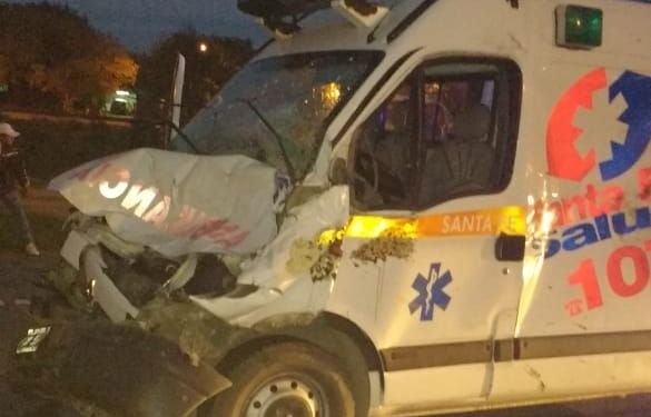 Una ambulancia atropelló y mató a un caballo que se cruzó en la autopista