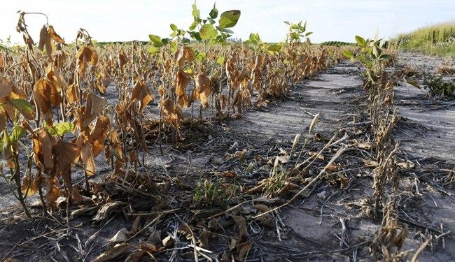 Ampliaron la «Emergencia Agropecuaria» e incluyeron a Totoras y Monje