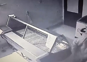 Atraparon al sospechoso de haber robado en la pollería de Timbúes