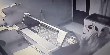 Atraparon al sospechoso de haber robado en la pollería de Timbúes