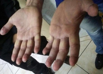 Cayó el «ladrón sin huellas» que robaba viviendas de la región