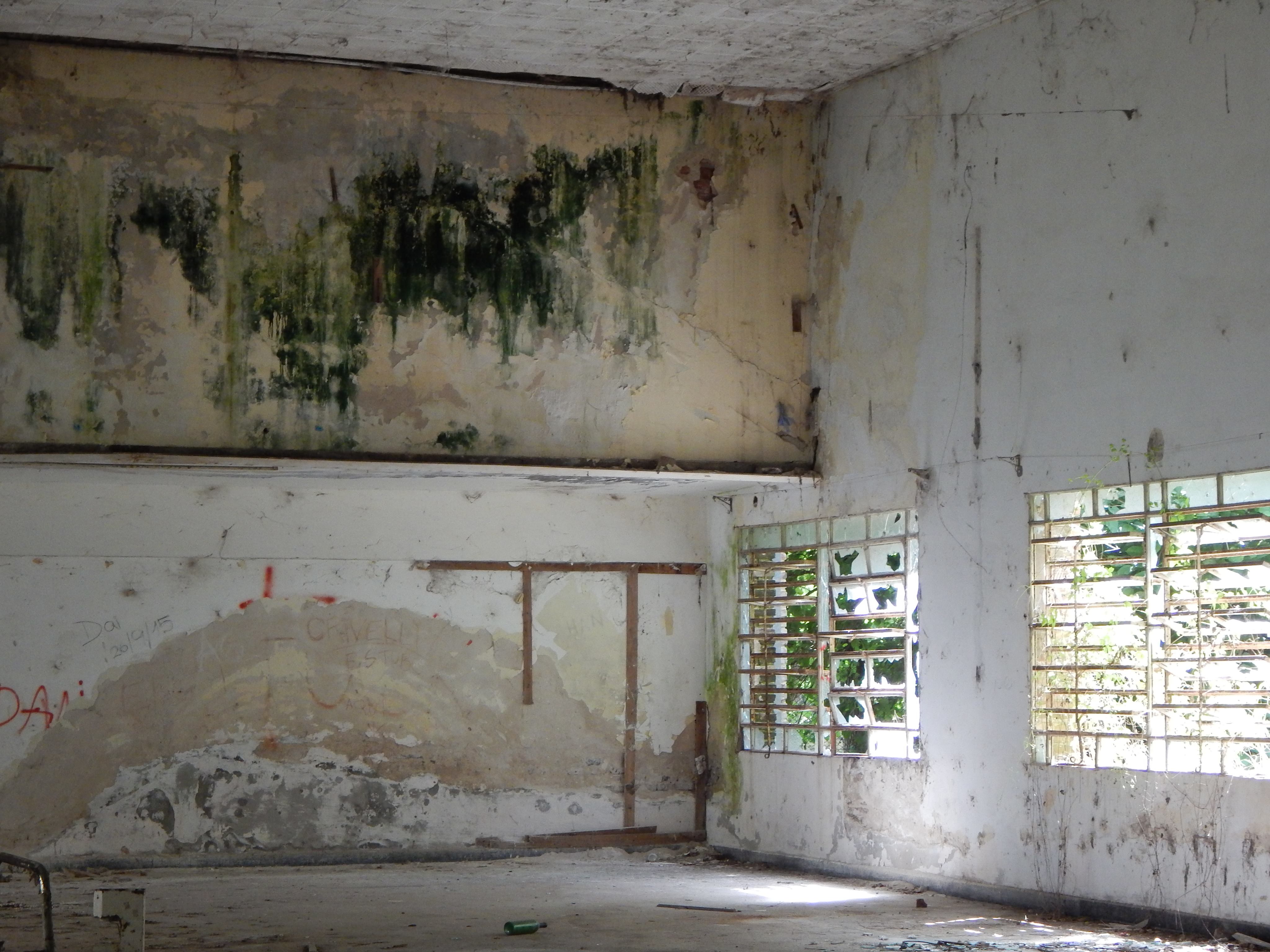 Andino recuperó el predio del Club Celulosa y estará en poder comunal por 10 años