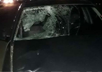 Accidente y muerte en Andino: quiso cruzar la ruta y fue embestido