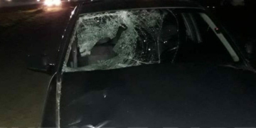 Accidente y muerte en Andino: quiso cruzar la ruta y fue embestido