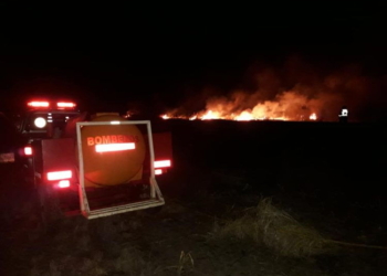 Bomberos sofocaron una quema de pastizales que se salió de control