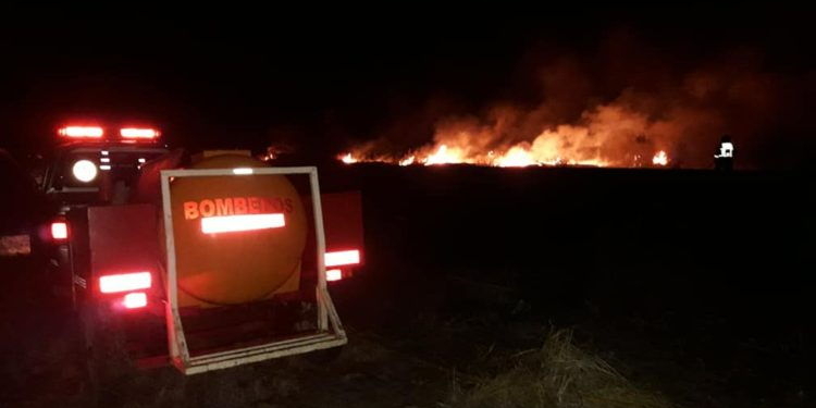 Bomberos sofocaron una quema de pastizales que se salió de control