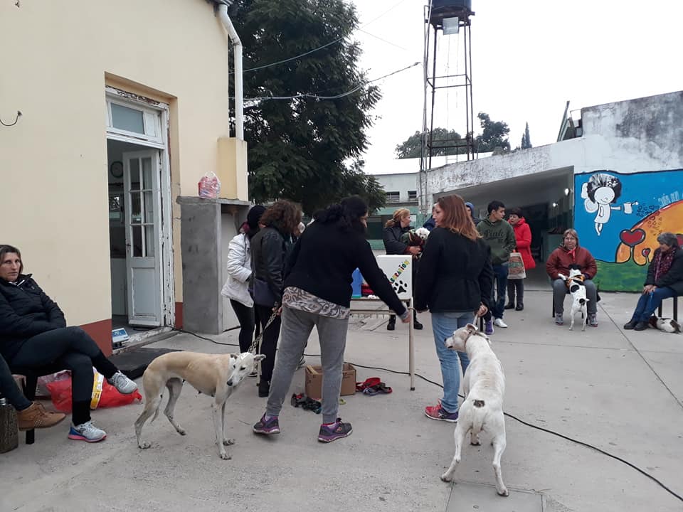 En un día castraron a 130 mascotas en Totoras y San Genaro