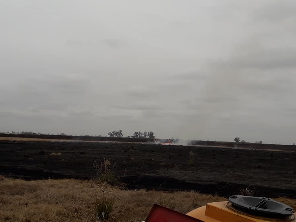 Extenso incendio en un campo entre Serodino y Salto Grande