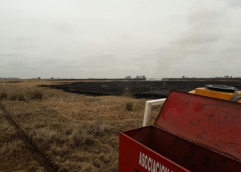 Extenso incendio en un campo entre Serodino y Salto Grande
