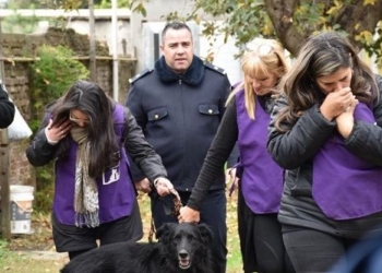 Luego de matar a su perro, se le inició una causa y rescataron al resto de las mascotas
