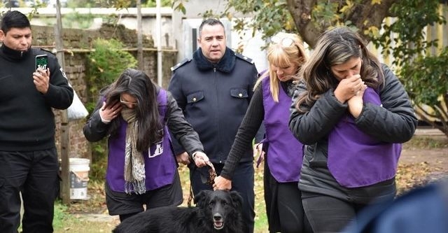 Luego de matar a su perro, se le inició una causa y rescataron al resto de las mascotas