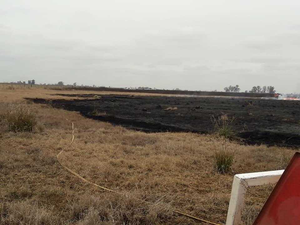 Extenso incendio en un campo entre Serodino y Salto Grande