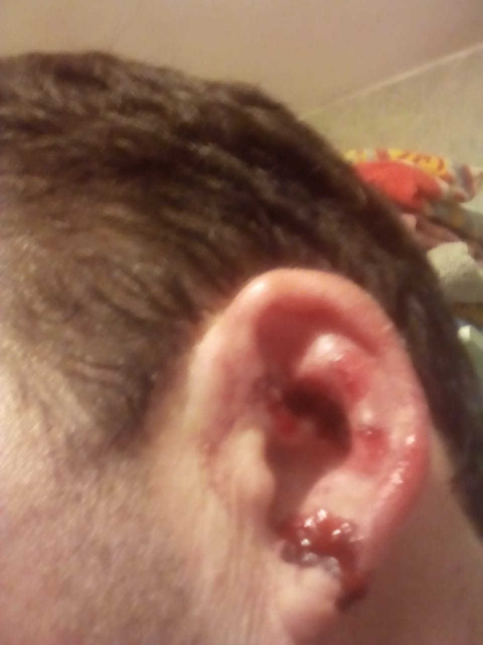 Piedrazos, piñas, autos rotos y balas de gomas en un partido de la Totorense