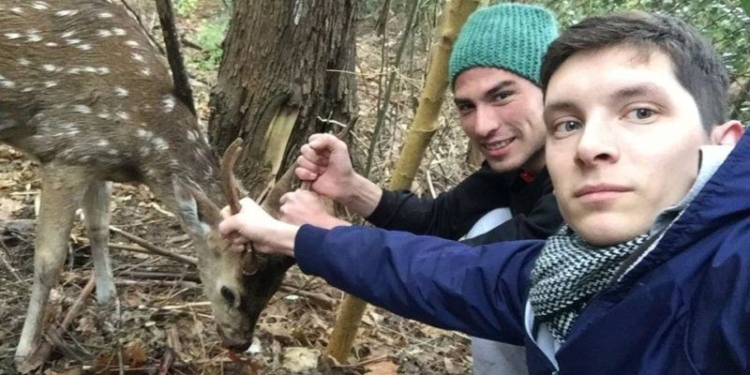 Trabajadores de la Colonia salvaron a un ciervo y fue devuelto a su hábitat