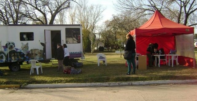 Entregan turnos para las castraciones de este sábado en Totoras