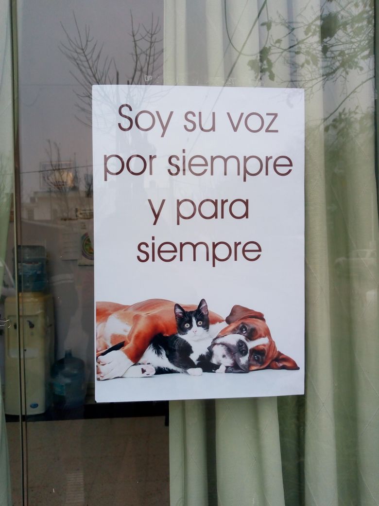 Maciel reclamó justicia por los perros envenenados y el presidente recibió a vecinos