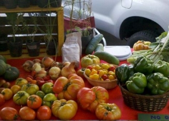 San Genaro: preparan una feria orgánica y solidaria