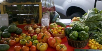 San Genaro: preparan una feria orgánica y solidaria