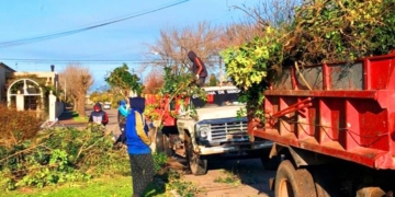 Serodino trabaja en la reforestación e invita a la población a sumarse