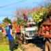 Serodino trabaja en la reforestación e invita a la población a sumarse