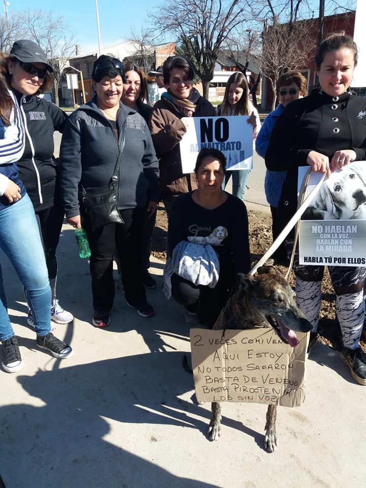 Vecinos de Maciel le dijeron basta a la matanza de perros