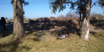 Robaron tejido perimetral en el club Italiano y reclaman por el basural lindero