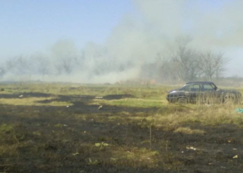 Extenso incendio provocado por la quema de basura en San Genaro