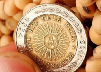 Duro golpe a pueblos y ciudades de la zona por la eliminación del Fondo Sojero