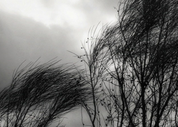 Emitieron un alerta por «vientos fuertes con ráfagas» para la región