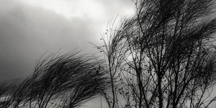 Emitieron un alerta por «vientos fuertes con ráfagas» para la región