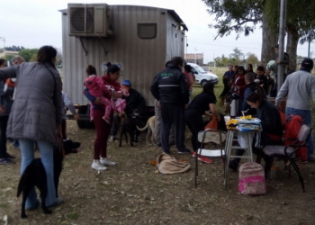 Serodino puso fecha para la campaña masiva y gratuita de castración