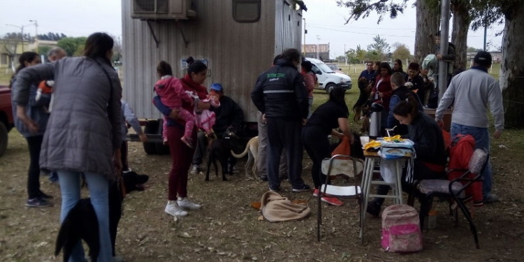 Serodino puso fecha para la campaña masiva y gratuita de castración