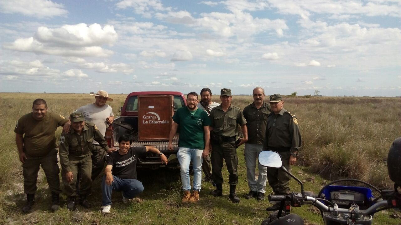 Liberaron en su hábitat natural a Aguará Guazú hallada en Gálvez