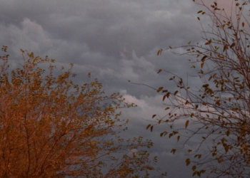Alerta Meteorológico por fuertes tormentas para la región