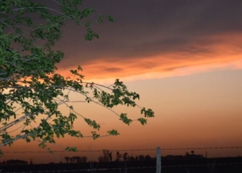 Alerta meteorológico a «muy corto plazo» para la región