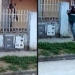 Entró a robar a una vivienda y quedó filmado