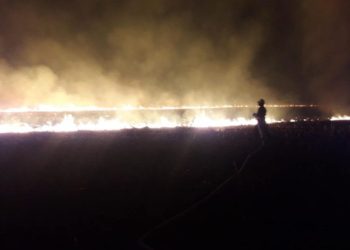 Dos incendios forestales de magnitud fueron sofocados por bomberos