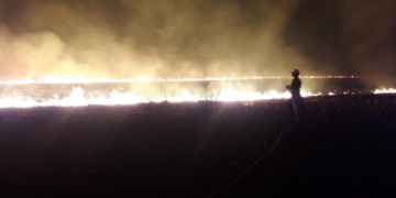 Dos incendios forestales de magnitud fueron sofocados por bomberos