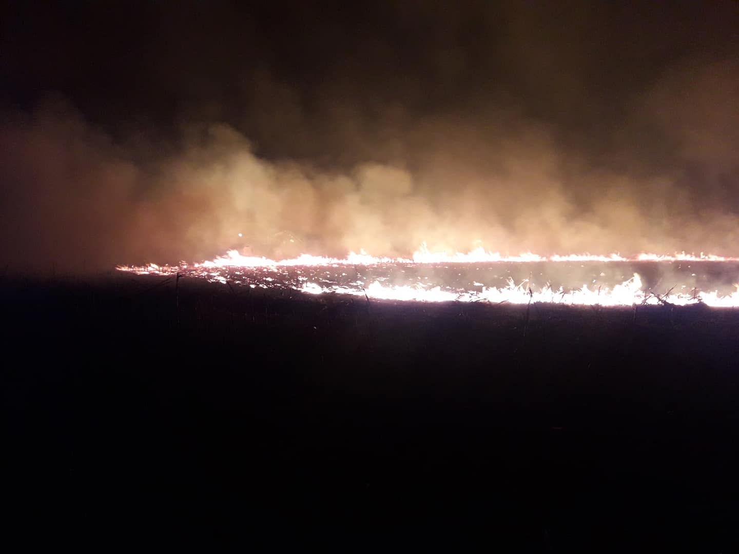 Dos incendios forestales de magnitud fueron sofocados por bomberos
