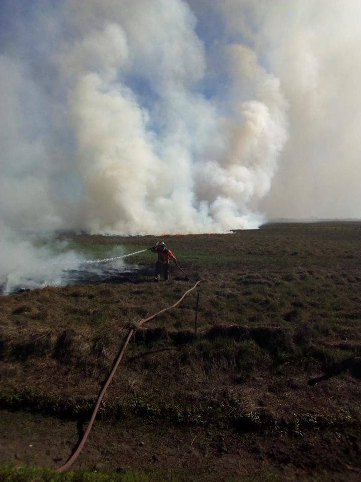 Dos incendios forestales de magnitud fueron sofocados por bomberos