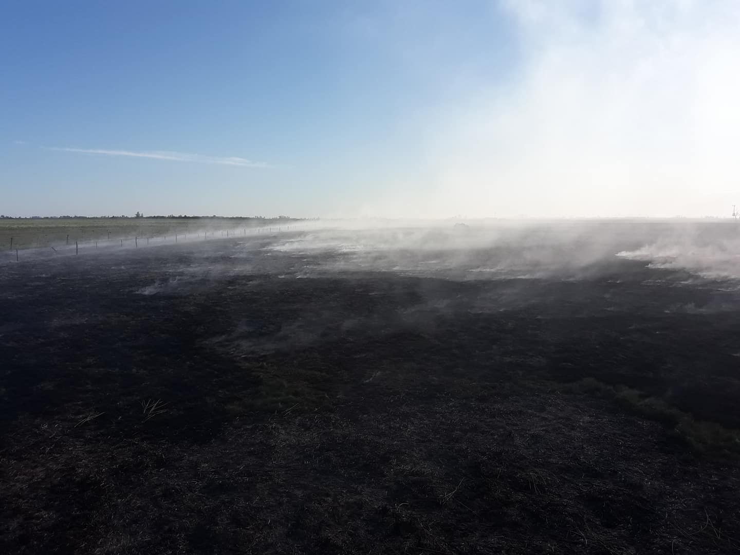Dos incendios forestales de magnitud fueron sofocados por bomberos