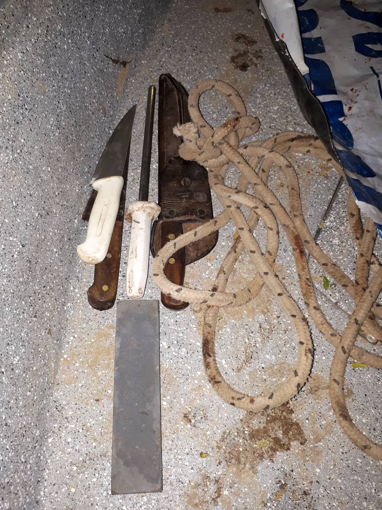 Dos detenidos por caso de abigeato en Puerto Gaboto