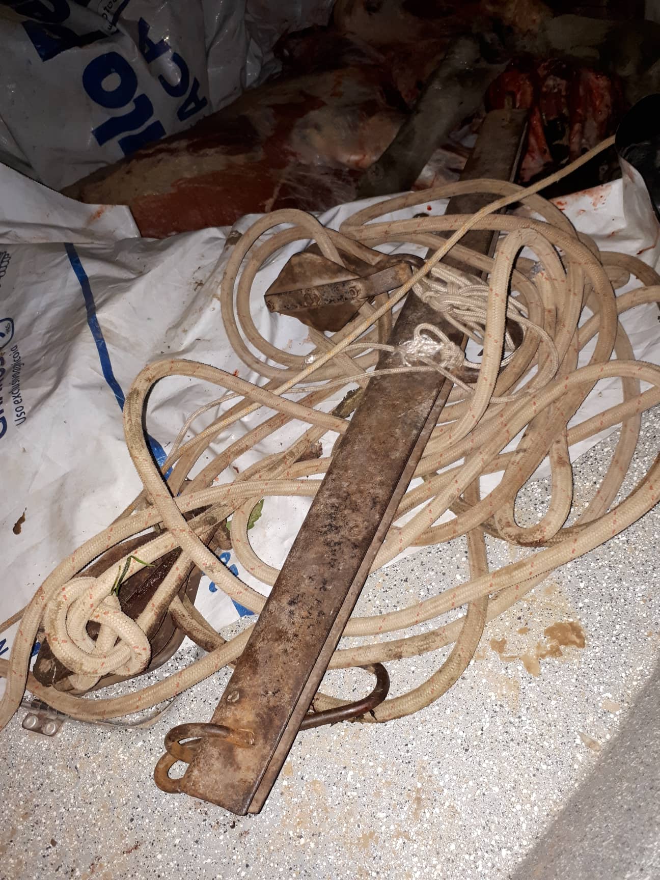 Dos detenidos por caso de abigeato en Puerto Gaboto