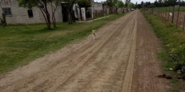 Llamarán Cayetano Silva a una calle de la ciudad de San Genaro