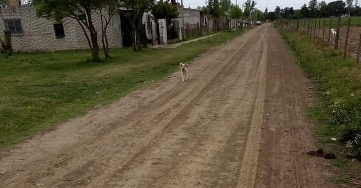 Llamarán Cayetano Silva a una calle de la ciudad de San Genaro